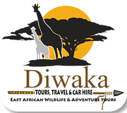 Diwaka Safaris-African Safari Tours | Kenya Safaris & East African Safari Tour Packages