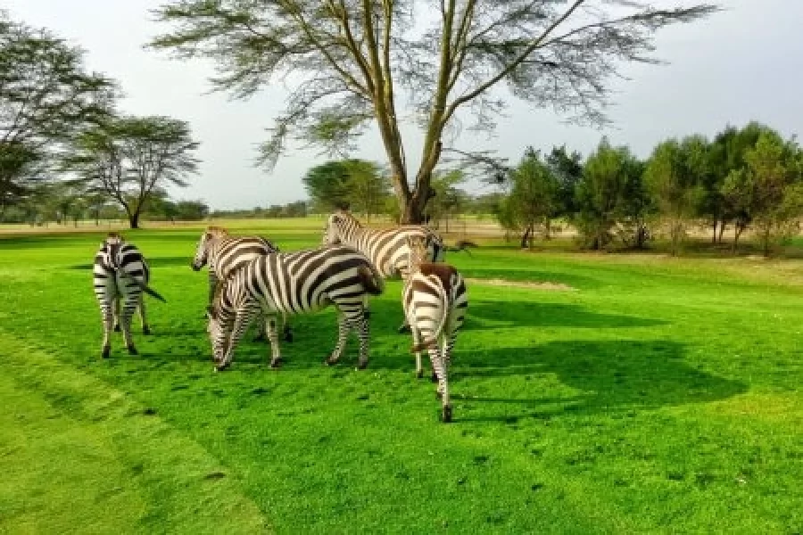 13 Days Kenya And Uganda Safari