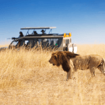 kenya luxury safari packages