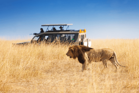 kenya luxury safari packages