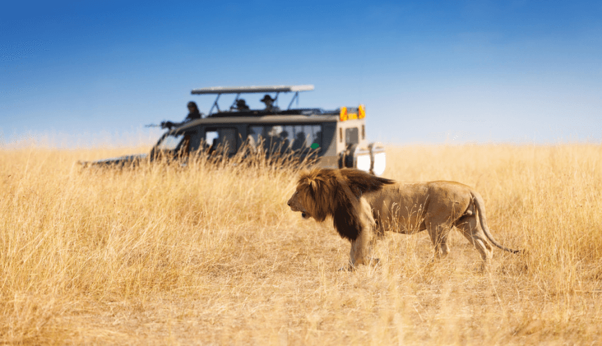 kenya luxury safari packages