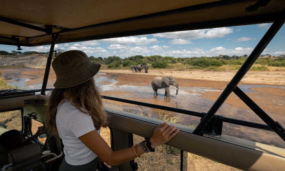 How UK Travellers Can Plan A Safari To Kenya?