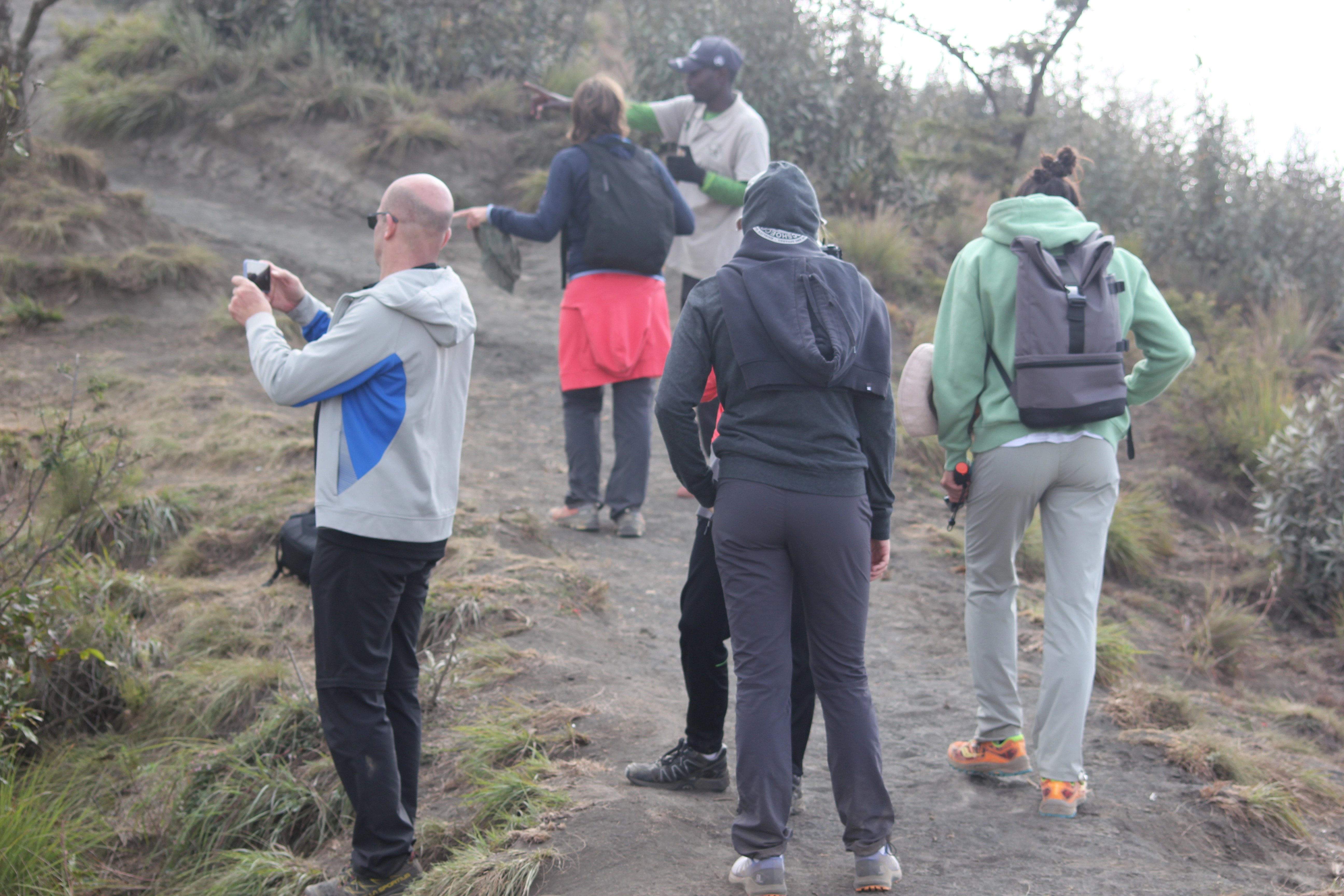 Tanzania mountain climbing programs