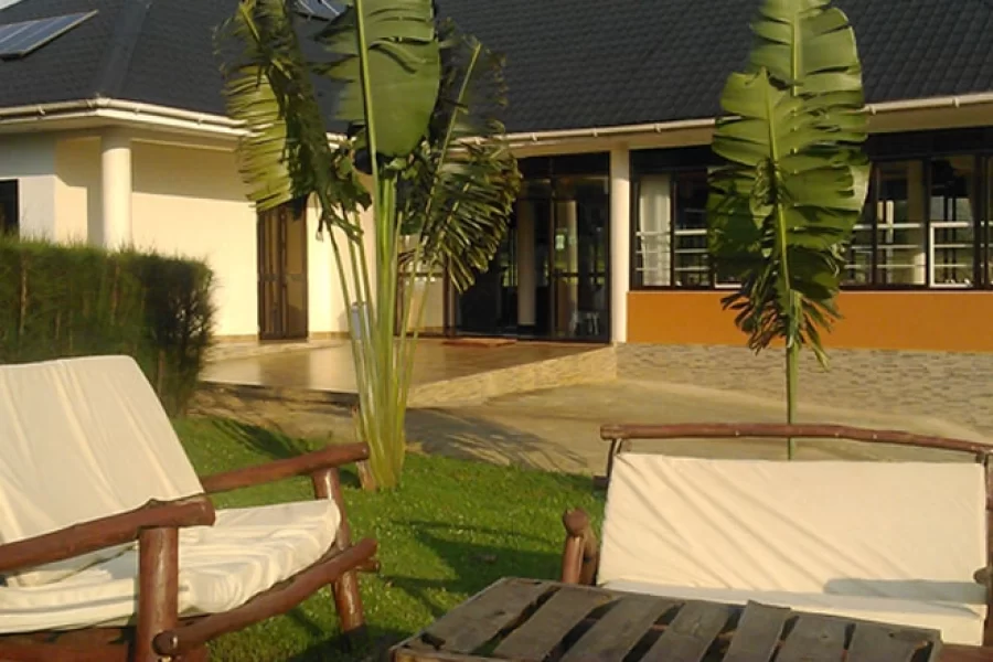 Crested Crane Bwindi