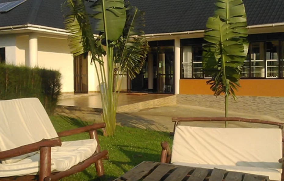 Crested Crane Bwindi