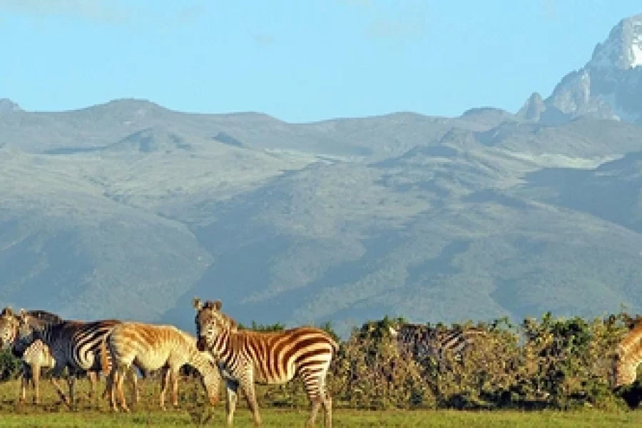 sirimon route mount kenya