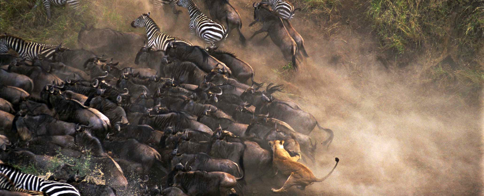 Voorbeeldreisplan III – Tanzania