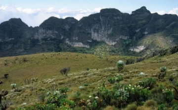 Arabuko Sokoke National Park