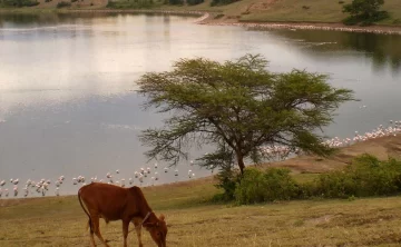 Lake Simbi National Santuary